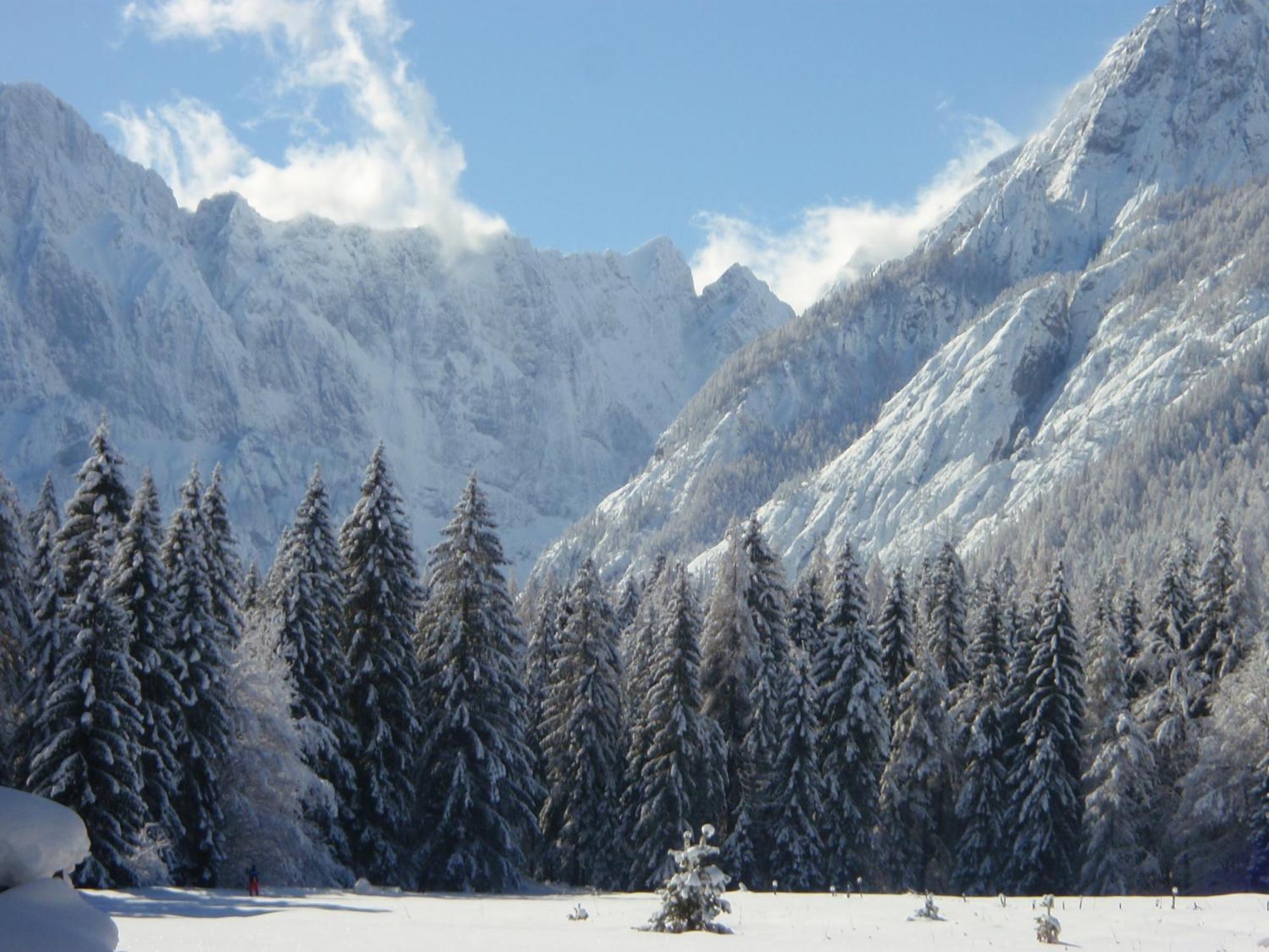 Tempfer 2 Apartments & Rooms With New Wellness Kranjska Gora Exterior foto