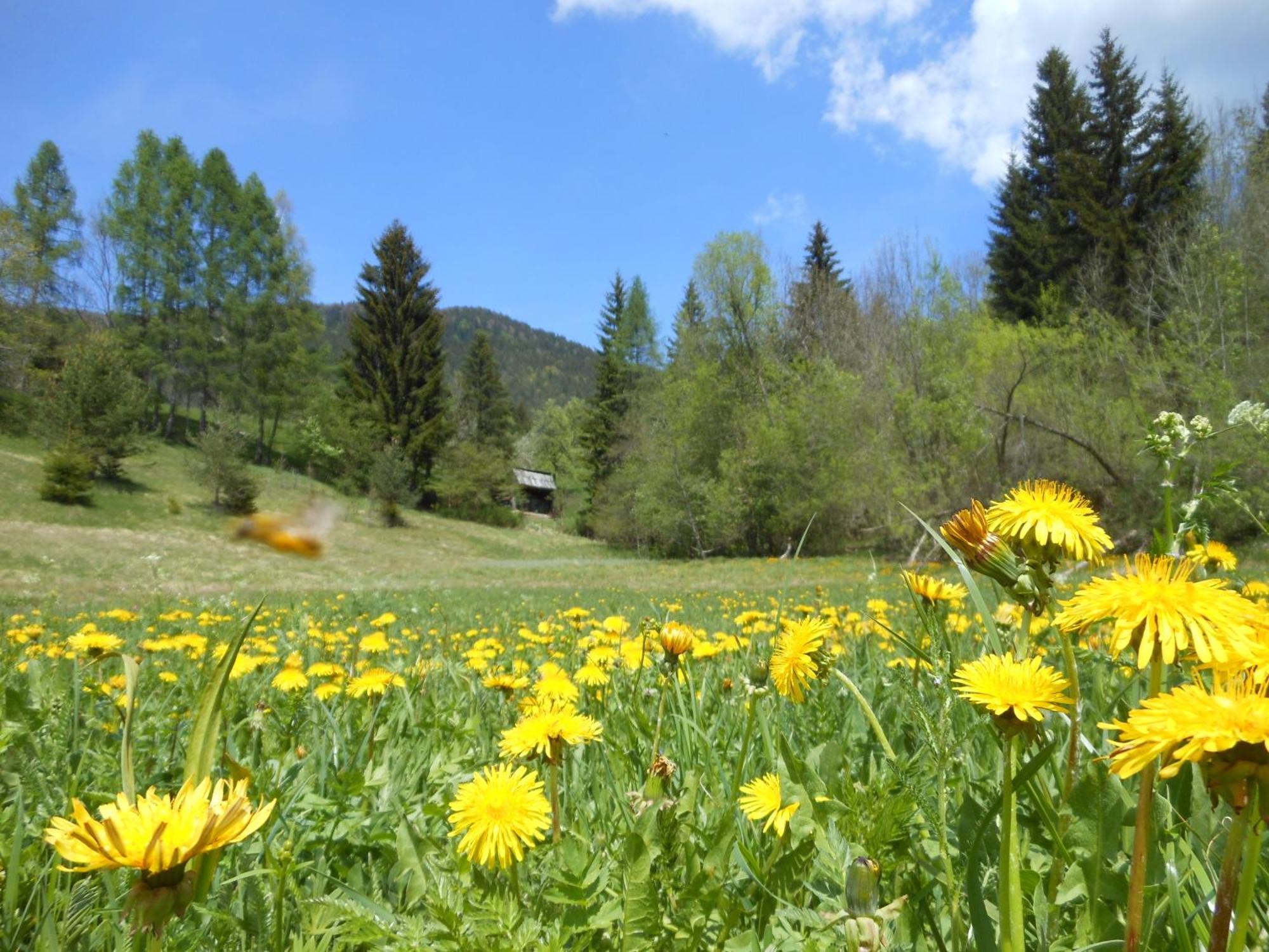 Tempfer 2 Apartments & Rooms With New Wellness Kranjska Gora Exterior foto